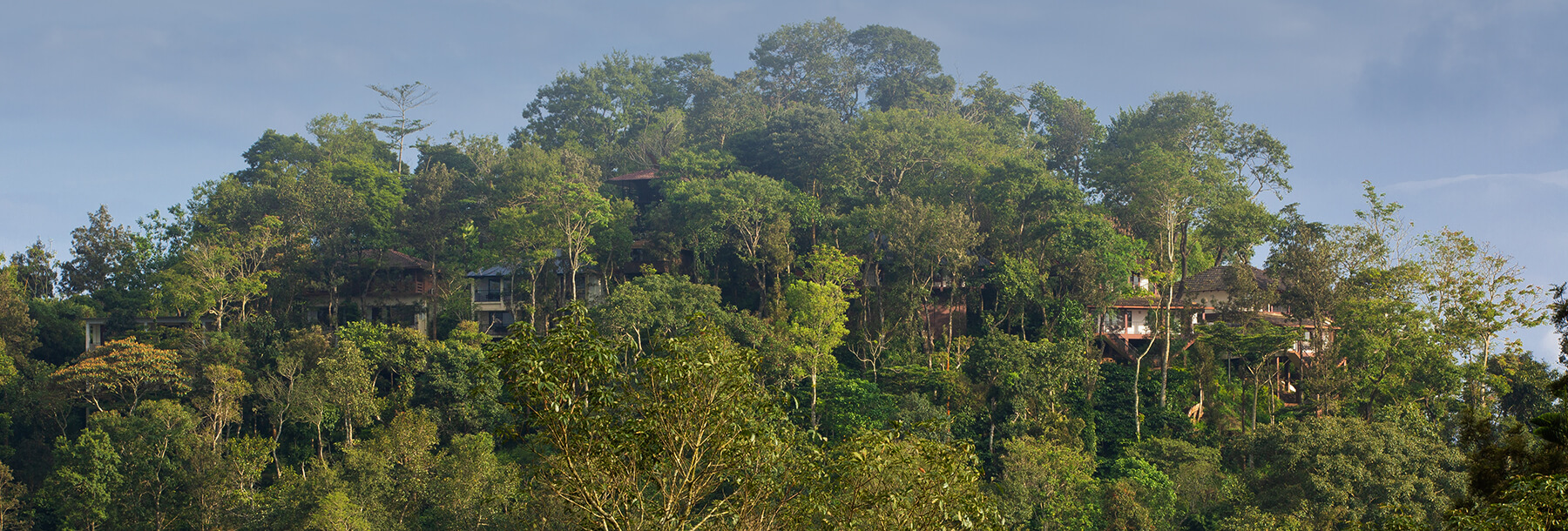 The Porcupine Castle Resort, An Exclusive Plantation Holiday, Coorg, Karnataka, Kerala, India