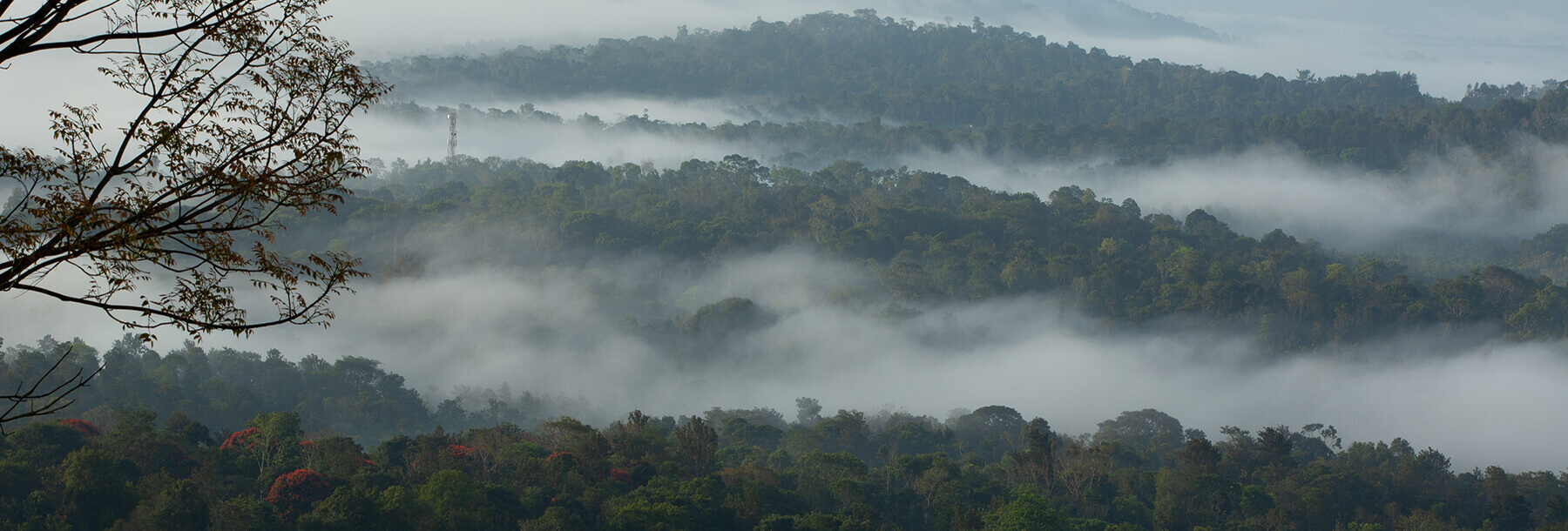 The Porcupine Castle Resort, An Exclusive Plantation Holiday, Coorg, Karnataka, Kerala, India