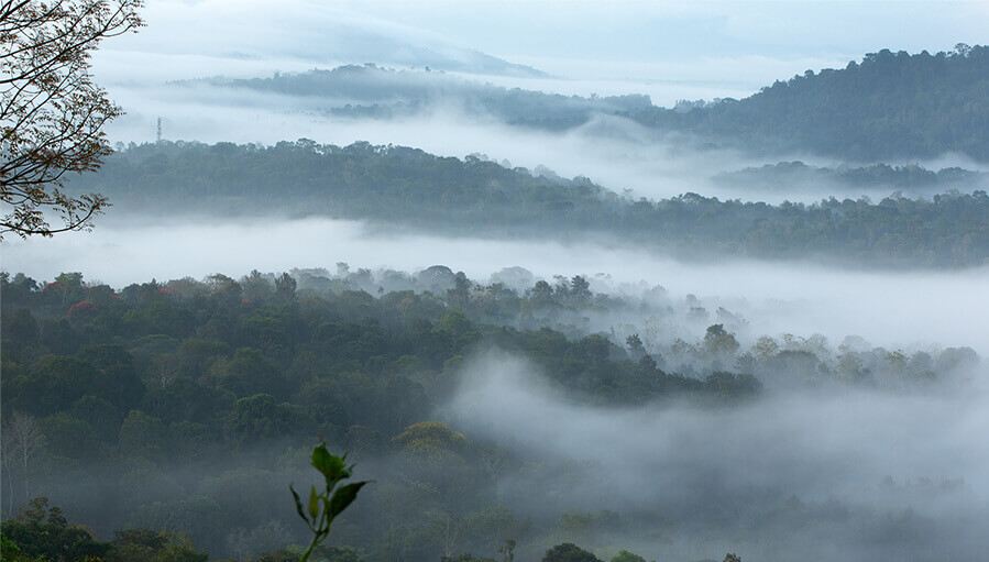 The Porcupine Castle Resort, An Exclusive Plantation Holiday, Coorg, Karnataka, Kerala, India