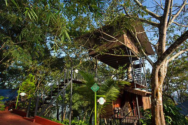 The Porcupine Castle Resort, An Exclusive Plantation Holiday, Coorg, Karnataka, Kerala, India