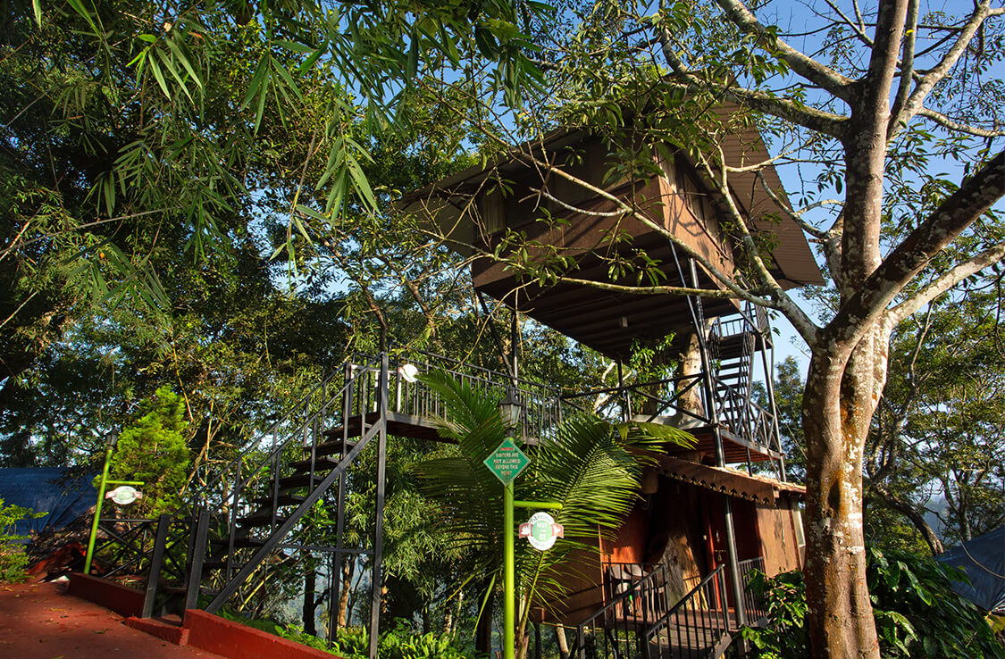 The Porcupine Castle Resort, An Exclusive Plantation Holiday, Coorg, Karnataka, Kerala, India
