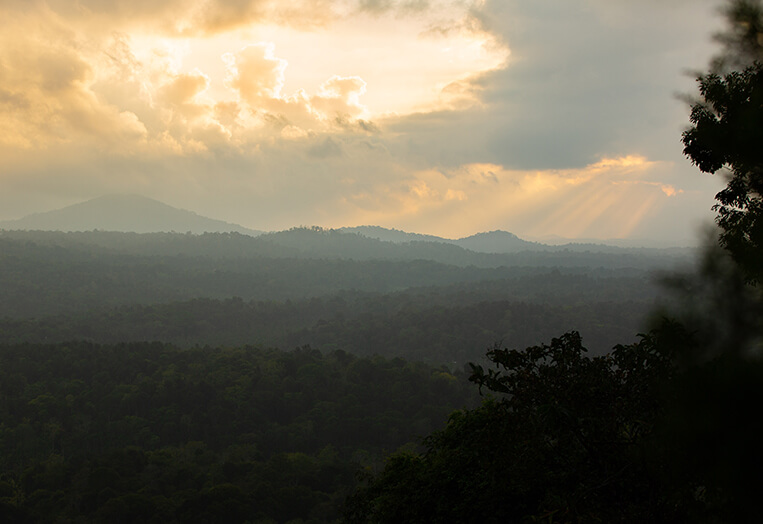 The Porcupine Castle Resort, An Exclusive Plantation Holiday, Coorg, Karnataka, Kerala, India