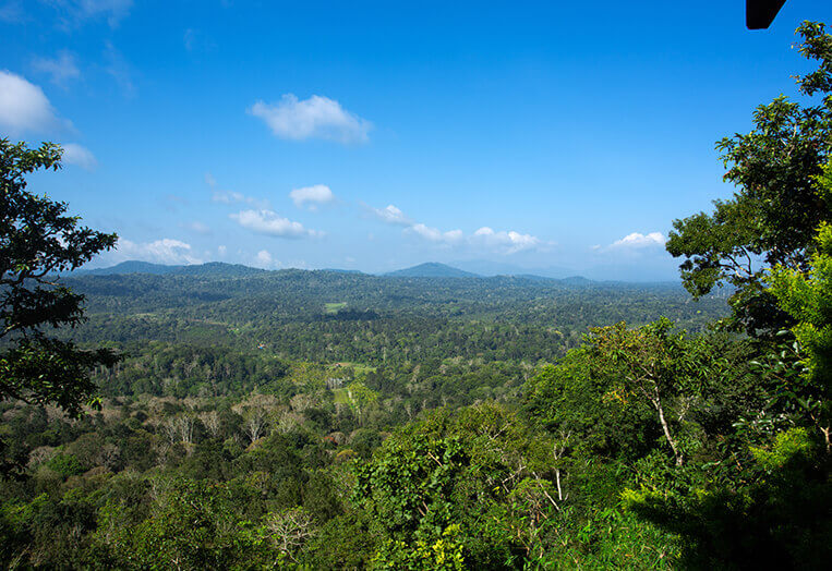 The Porcupine Castle Resort, An Exclusive Plantation Holiday, Coorg, Karnataka, Kerala, India