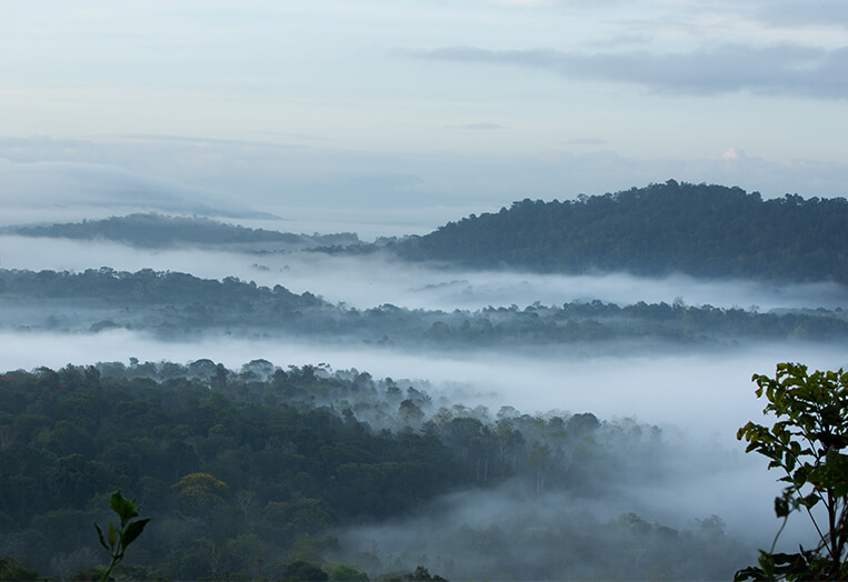 The Porcupine Castle Resort, An Exclusive Plantation Holiday, Coorg, Karnataka, Kerala, India