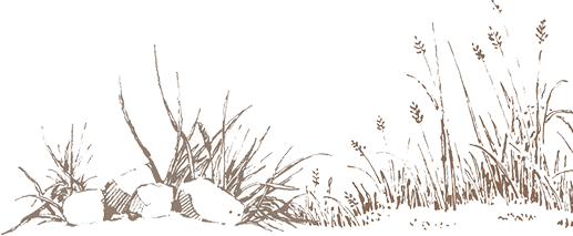 The Porcupine Castle Resort, An Exclusive Plantation Holiday, Coorg, Karnataka, Kerala, India